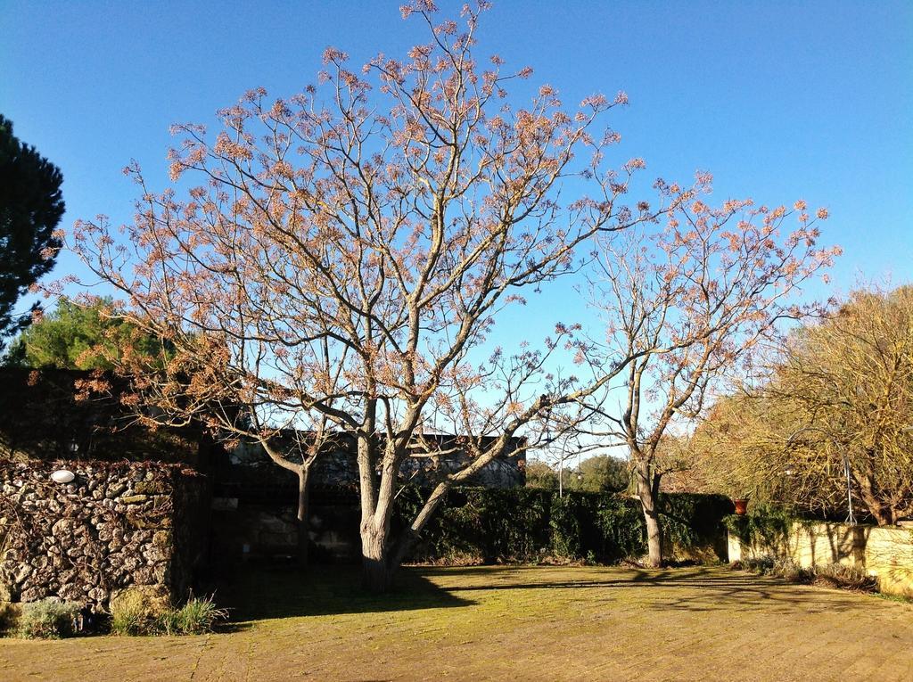 Tenuta Sant'Andrea Giuggianello Exterior photo
