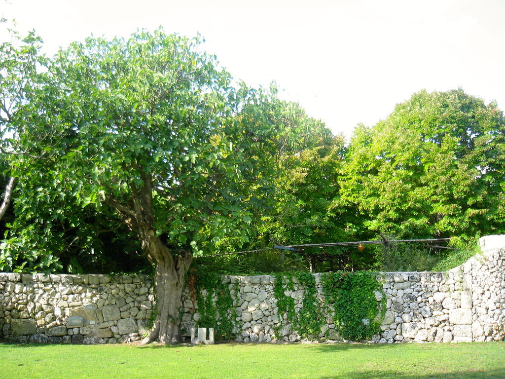 Tenuta Sant'Andrea Giuggianello Exterior photo